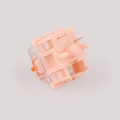 Tecsee Coral Tactile Switches