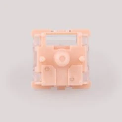 Tecsee Coral Tactile Switches