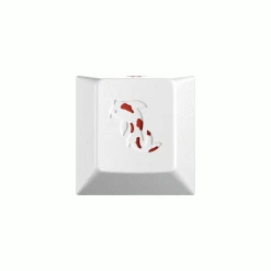 Cheapest ✨ Shop GMK ZEN POND ⌛ 22 Shop GMK ZEN POND